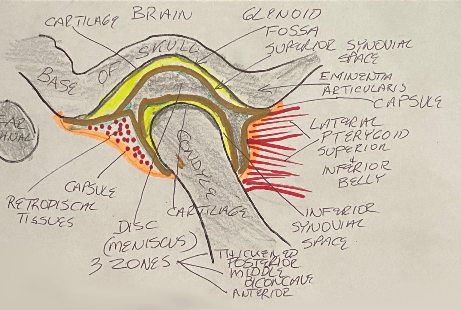 Tmj Chart